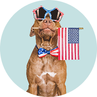 Pet Insurance By State