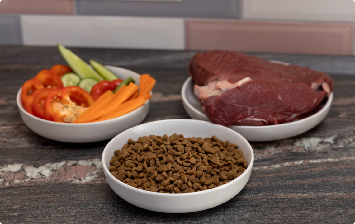 pet food and recipes, dog recipes, cat recipes